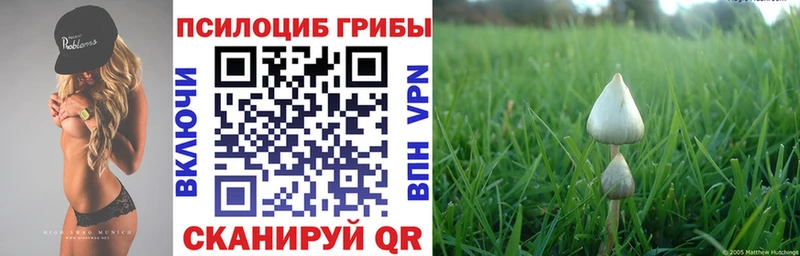 Галлюциногенные грибы прущие грибы  Губкин 
